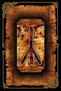 rune Algiz (Elhaz) reading reverse meaning divination rune Algiz reading meaning divination